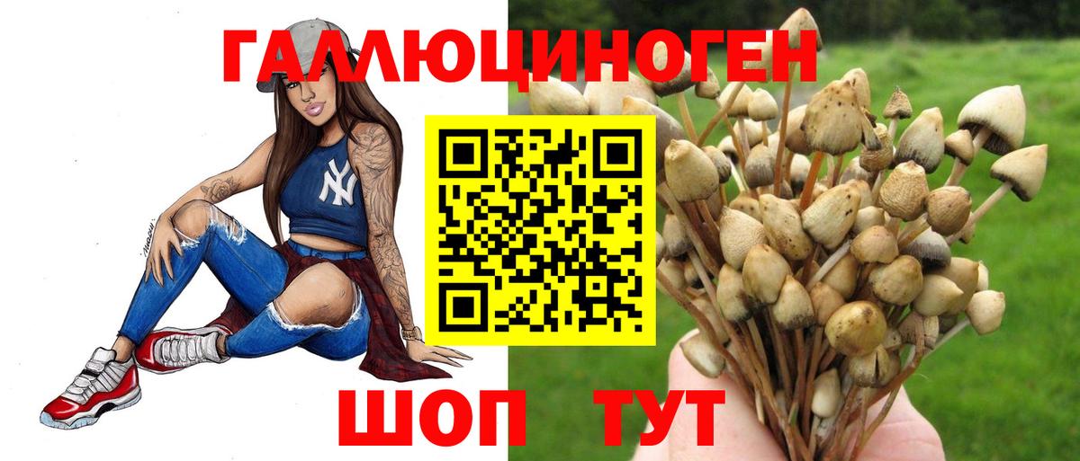 Псилоцибиновые грибы мицелий Керчь