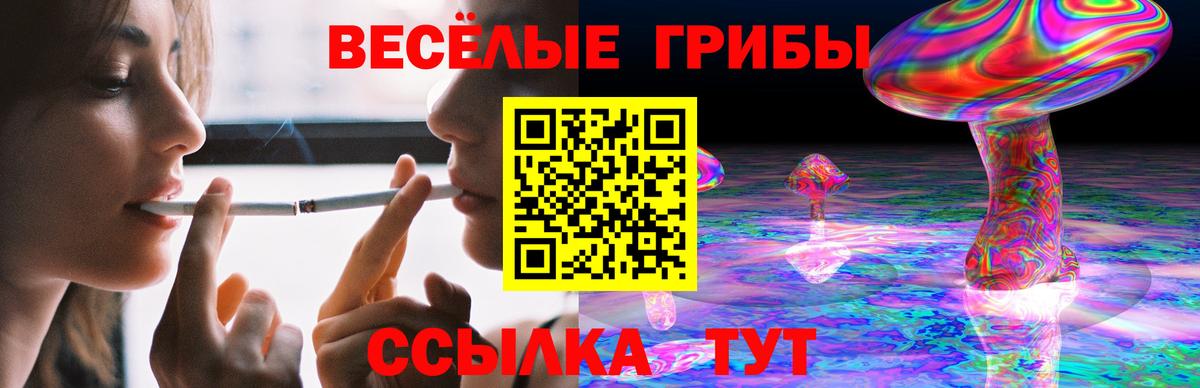 Псилоцибиновые грибы мухоморы  сколько стоит  Керчь  Псилоцибиновые грибы Magic Shrooms  Вход с VPN 